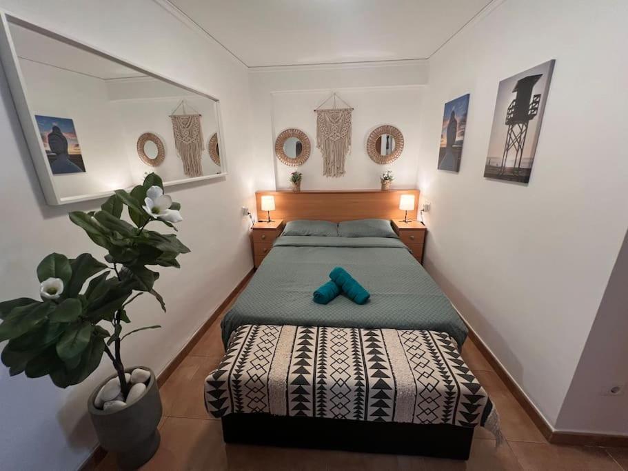 Apartamento Monika Playa Y Grau 甘迪亚 外观 照片